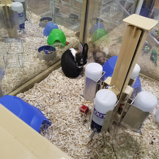 Pet Supply Store «Pet Supermarket, Inc.», reviews and photos, 9579 Bill Arp Rd #21, Douglasville, GA 30135, USA
