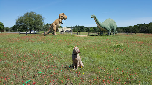 Gift Shop «Dinosaur Valley State Park Store», reviews and photos, 1629 Park Rd 59, Glen Rose, TX 76043, USA