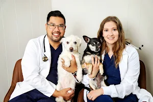 Mariposa Veterinary Hospital image