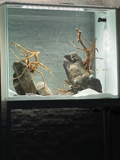 Tropical Fish Store «Southeast Aquariums», reviews and photos, 135 Stanley Ct #211, Lawrenceville, GA 30046, USA