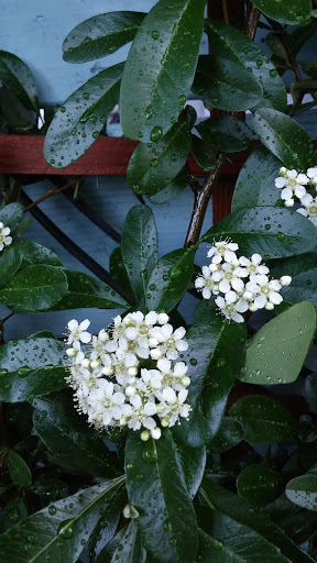 Banquet Hall «Lawlor Events Center», reviews and photos, 1664 N Virginia St, Reno, NV 89557, USA