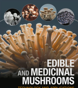 Ariege Mushhrooms à Mirepoix