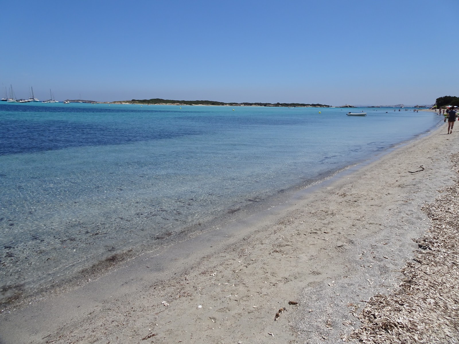 Zdjęcie Plage du Piantarella z poziomem czystości wysoki