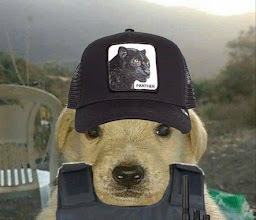 Taqueria Carrillo Puerto photo