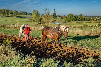Ferme de Tourenne à Saint-Médard-d'Excideuil