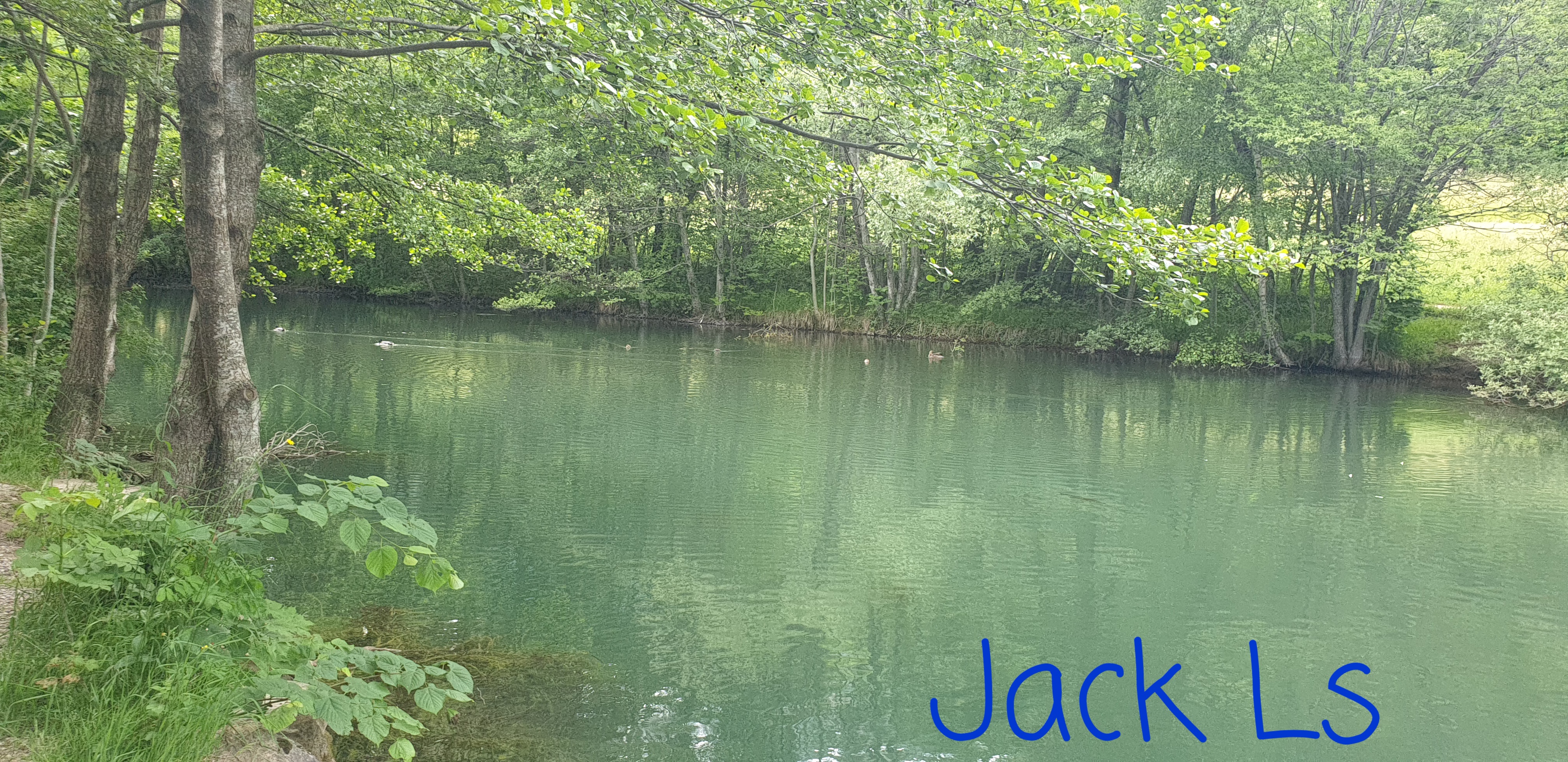 Photo n° 19 de l'avis de Jack.s fait le 09/06/2023 à 15:22
