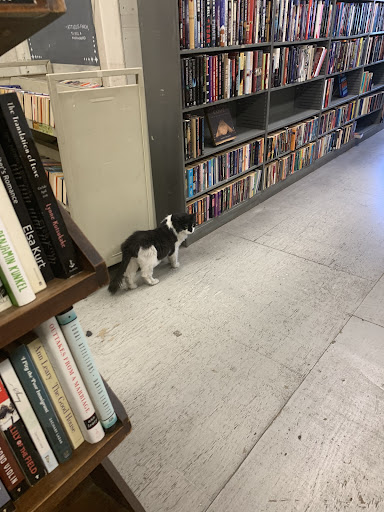 Used Book Store «Book Corner», reviews and photos