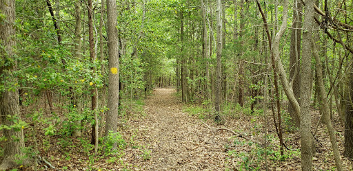 Nature Preserve «Eldora Nature Preserve», reviews and photos, 2350 NJ-47, Delmont, NJ 08314, USA