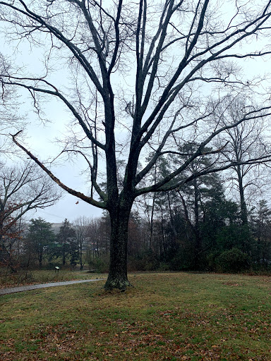 Memorial Park «Ox Hill Battlefield Park», reviews and photos, 4134 West Ox Rd, Fairfax, VA 22033, USA