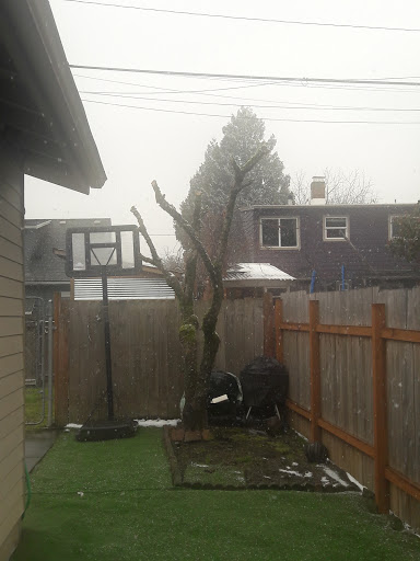 Park «Kern Park», reviews and photos, SE 67th Ave & Center St, Portland, OR 97206, USA