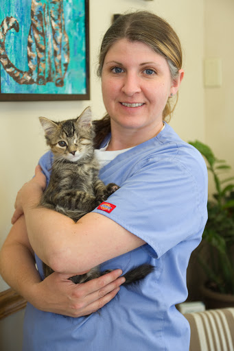 And Dogs Too Veterinary Clinic image