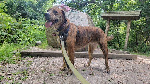 Park «West Hills County Park», reviews and photos, Sweet Hollow Rd, Melville, NY 11747, USA