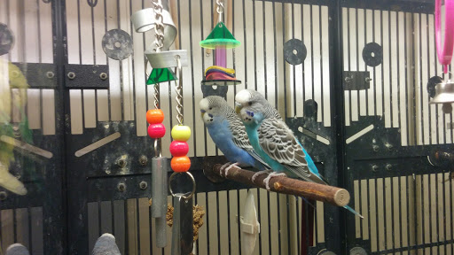 Pet Supply Store «PetSmart», reviews and photos, 5722 Fairmont Pkwy, Pasadena, TX 77505, USA