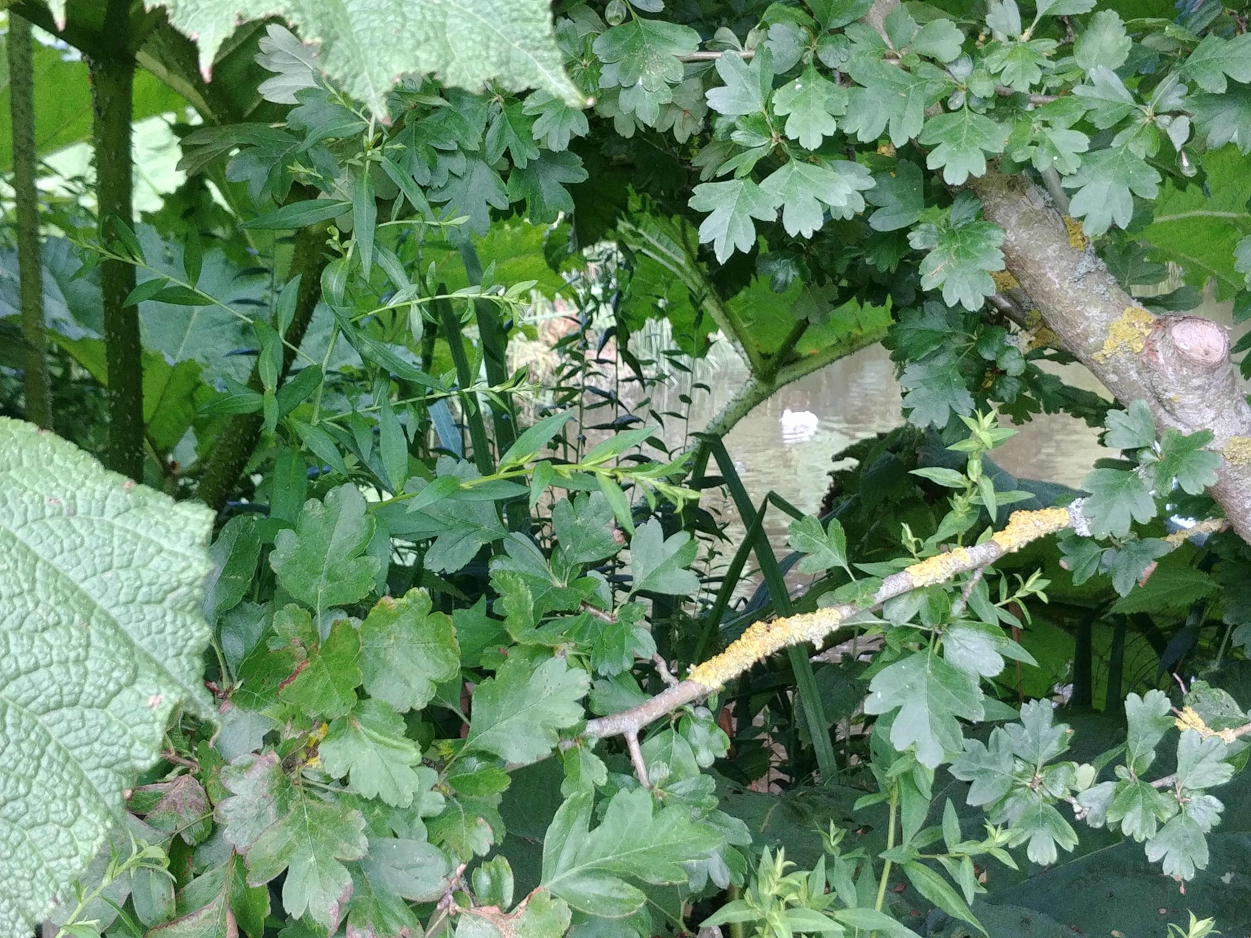 Photo n° 2 de l'avis de Dominique.o fait le 18/06/2022 à 21:47
