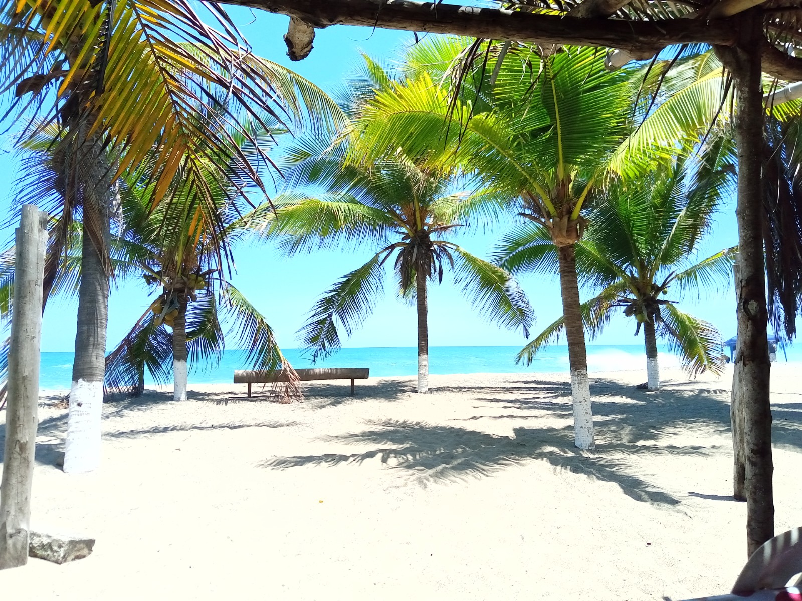 Foto von Playa Rangel wilde gegend