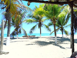Foto von Playa Rangel wilde gegend