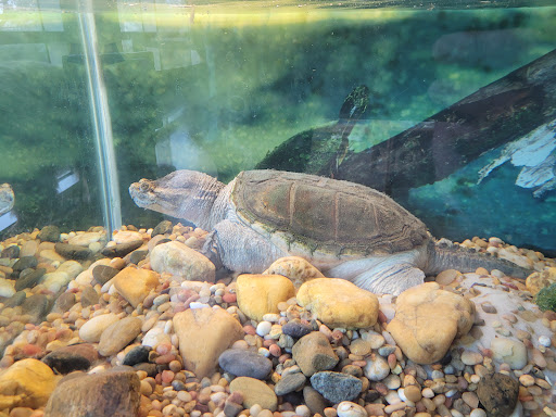 Natural History Museum «The Witt Stephens Jr. Central Arkansas Nature Center», reviews and photos, 602 President Clinton Ave, Little Rock, AR 72201, USA