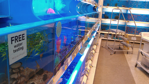 Pet Supply Store «PetSmart», reviews and photos, 6622 Charlotte Pike Suite 108, Nashville, TN 37209, USA