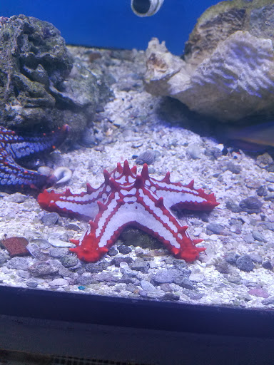 Pet Supply Store «House of Pets Inc», reviews and photos, 29500 Ford Rd, Garden City, MI 48135, USA