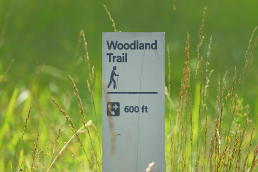 Modern Art Museum «Glenstone», reviews and photos, 12002 Glen Rd, Potomac, MD 20854, USA