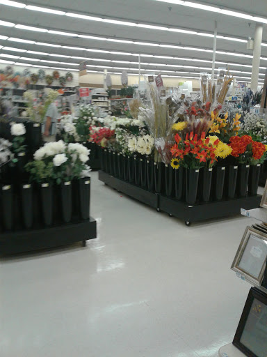 Craft Store «A.C. Moore Arts and Crafts», reviews and photos, 4433 Kirkwood Hwy, Wilmington, DE 19808, USA