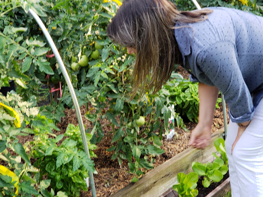 Health Food Store «Vineyard Grocer», reviews and photos, 294 State Rd, Vineyard Haven, MA 02568, USA