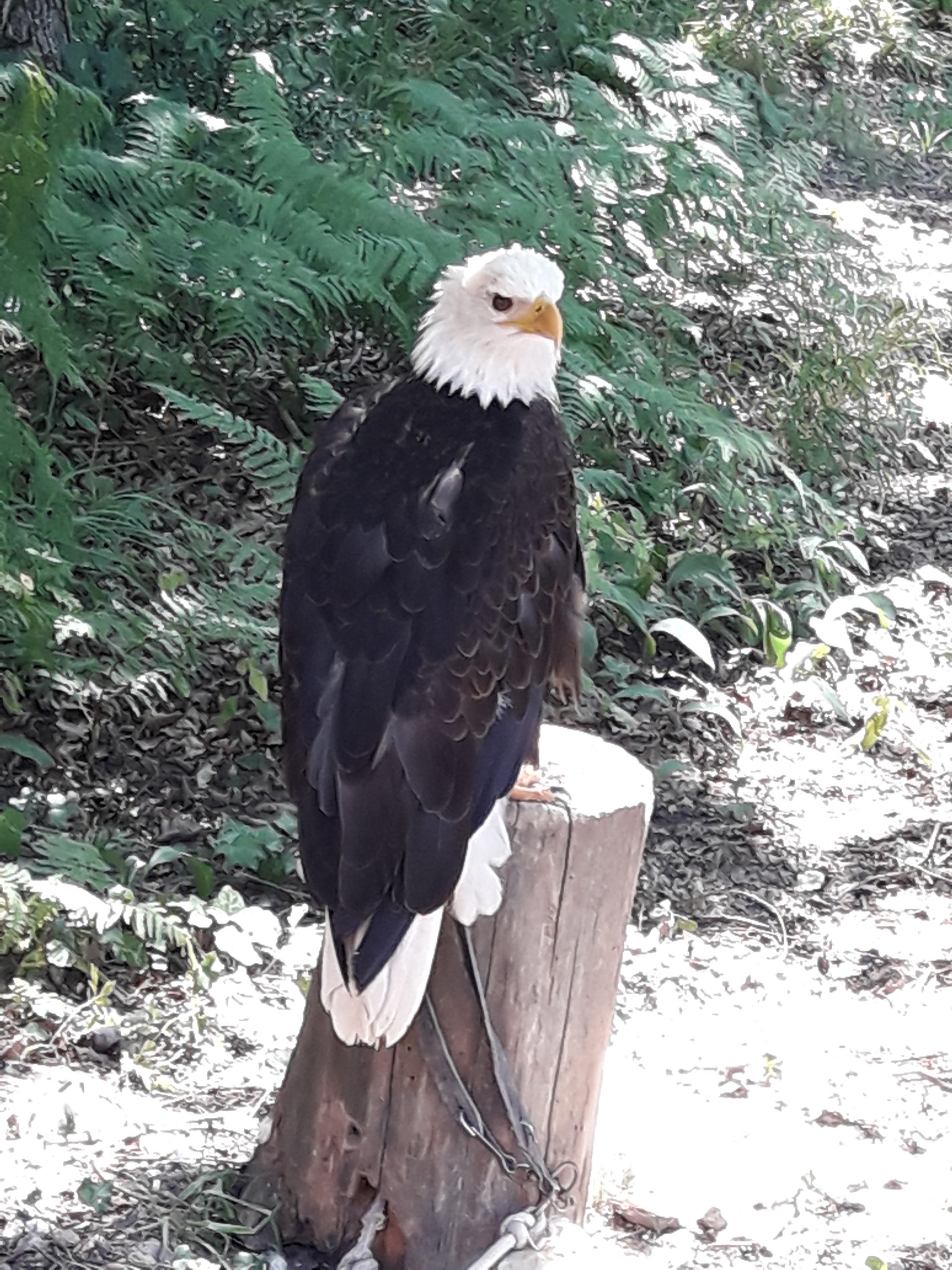 Photo n° 1 de l'avis de Christophe.l fait le 01/07/2018 à 13:30