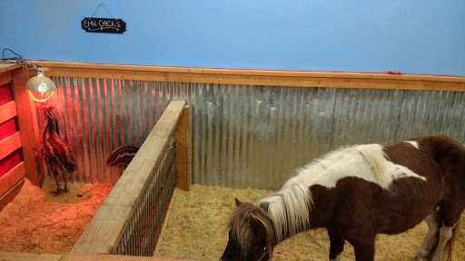 Zoo «Jozee Rooz Indoor Petting Zoo», reviews and photos, 120 138th St S, Tacoma, WA 98444, USA