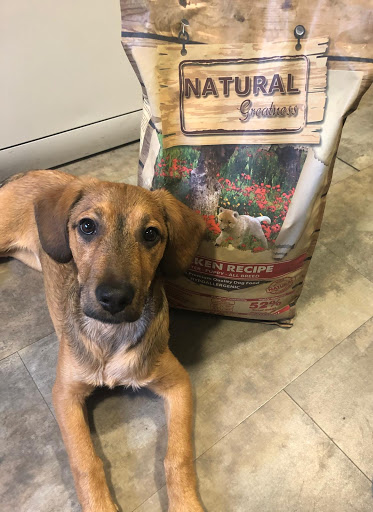 Distrianimal en Logroño, La Rioja