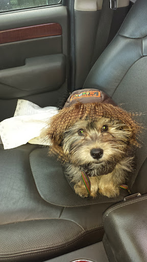 Explore childrens names tattoo ideas, creative tattoo ideas in Scarsdale, available at Damm Nice Tattoo & Body Art