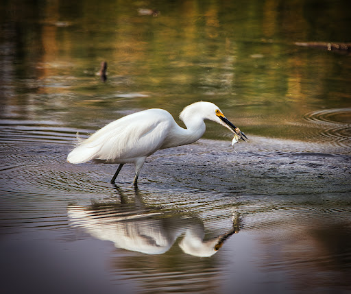 State Park «Cherry Creek State Park», reviews and photos, 4201 S Parker Rd, Aurora, CO 80014, USA