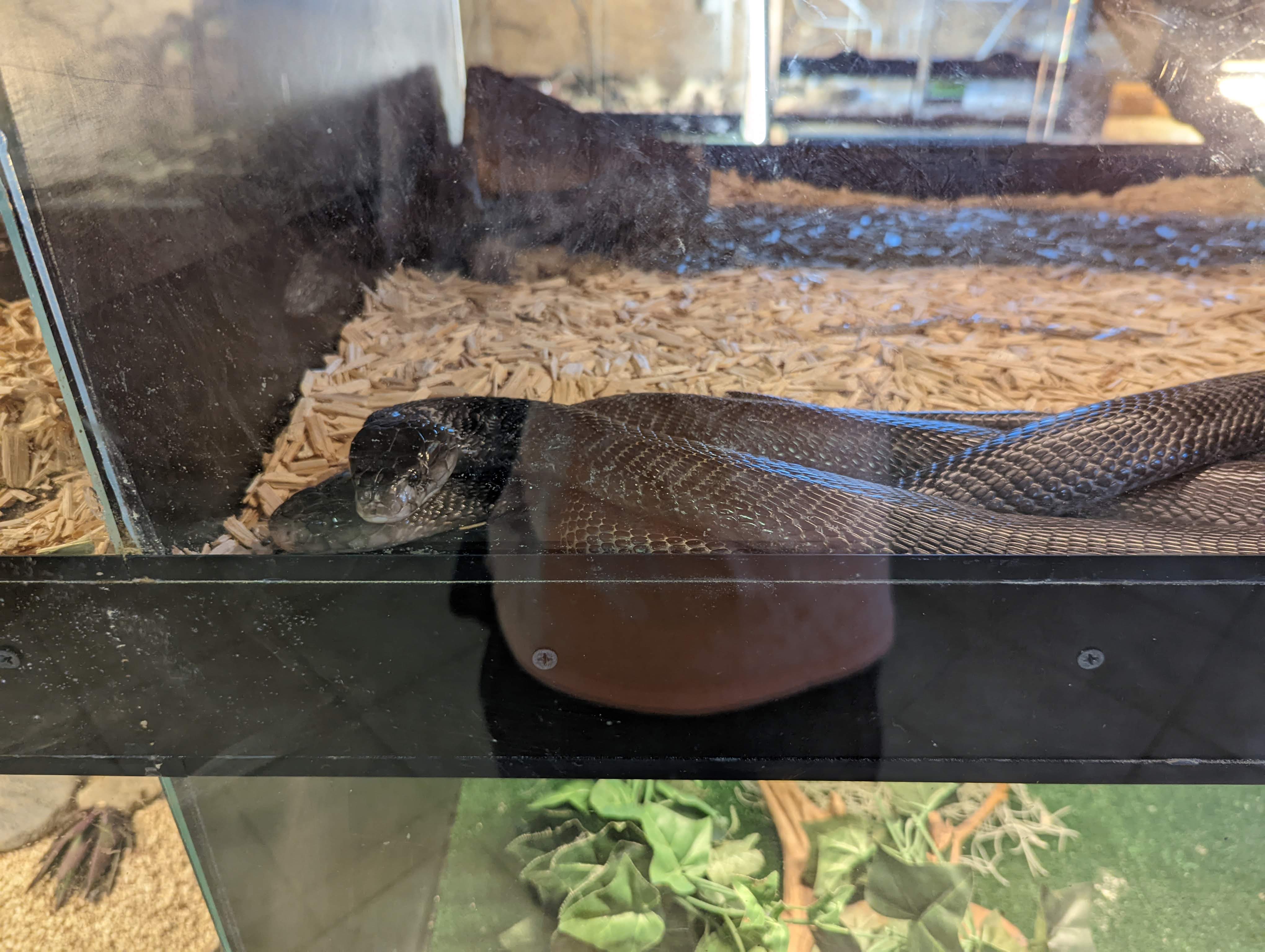 Photo n° 12 de l'avis de Mathieu.I fait le 07/05/2022 à 19:56