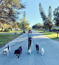 Dog Days of Gulfport, LLC - Photo 7 - Car repair in , St. Petersburg