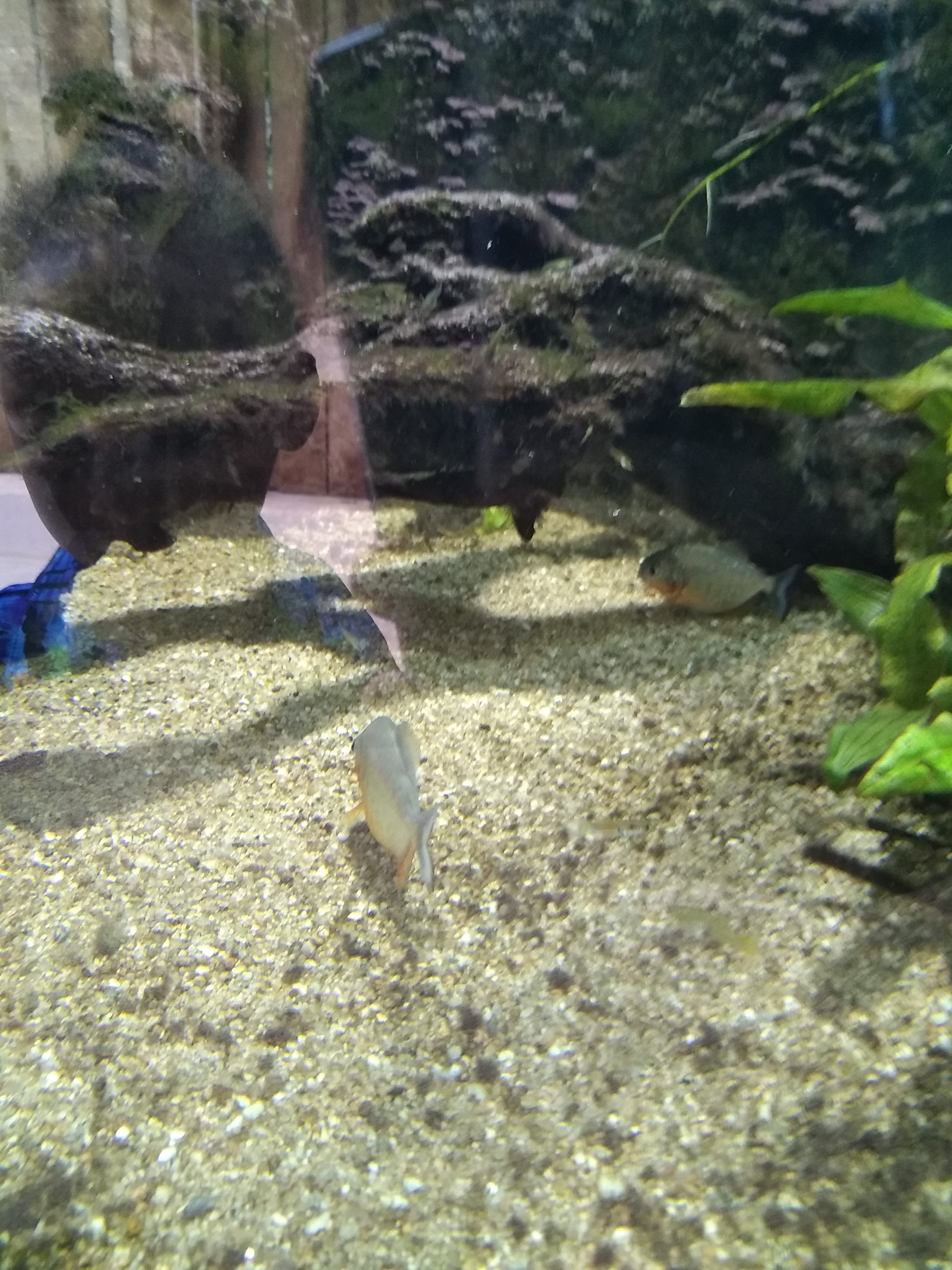 Photo n° 27 de l'avis de Antony.b fait le 16/08/2020 à 13:39