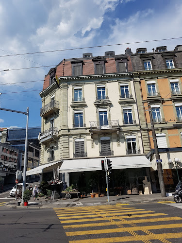 Rezensionen über Gestimmob Sàrl in Lausanne - Immobilienmakler