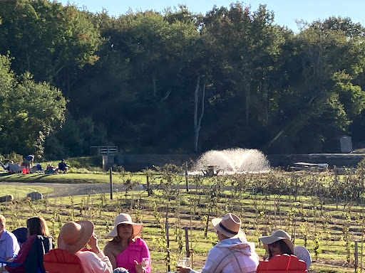 Winery «Leyden Farm Vineyard & Winery», reviews and photos, 160 Plain Meeting House Rd, West Greenwich, RI 02817, USA
