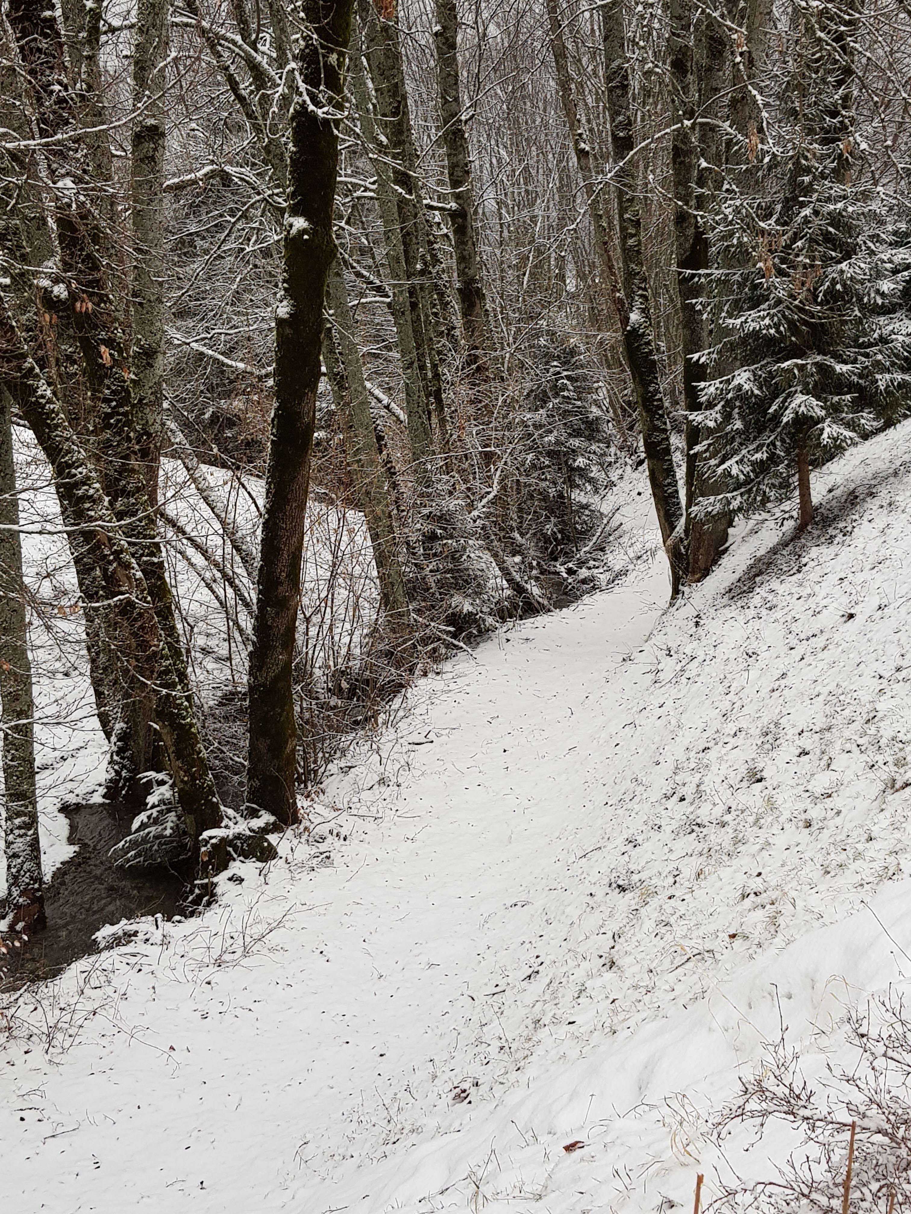 Photo n° 9 de l'avis de Francis.e fait le 05/02/2020 à 17:36
