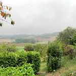 Photo n°1 de l'avis de Salvatore.a fait le 01/10/2021 à 12:38 sur le  Agriturismo ristorante La Cantina In Collina à Cuccaro Monferrato