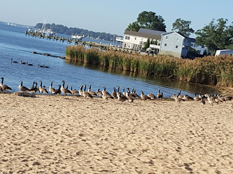 Miami Beach Park