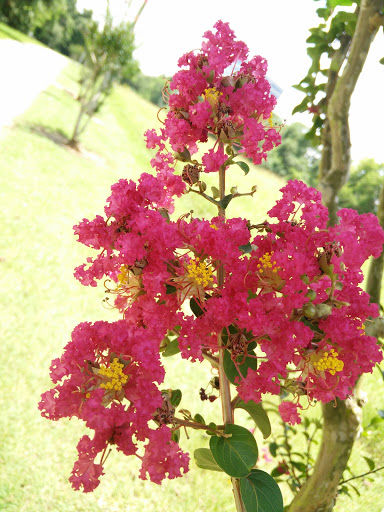 Park «Terry Hershey Park», reviews and photos, 15200 Memorial Dr, Houston, TX 77079, USA