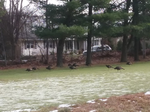 Golf Club «Louisquisset Golf Club», reviews and photos, 1 Overlook Pkwy, North Providence, RI 02904, USA