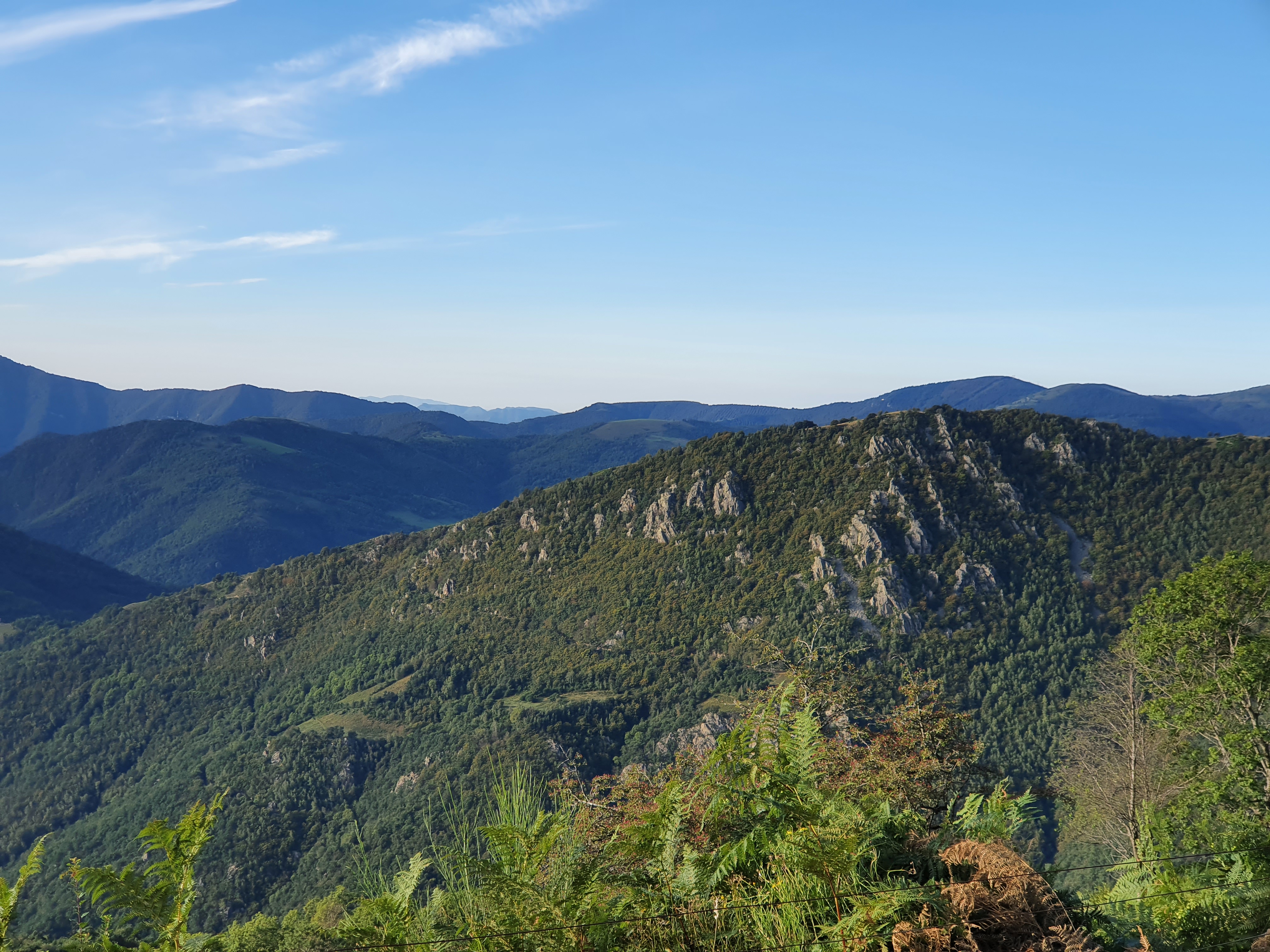 Photo n° 2 de l'avis de Josef.e fait le 12/09/2020 à 20:01