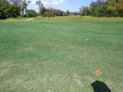 Public Golf Course «Hollywood Beach Golf Resort», reviews and photos, 1600 Johnson St, Hollywood, FL 33020, USA