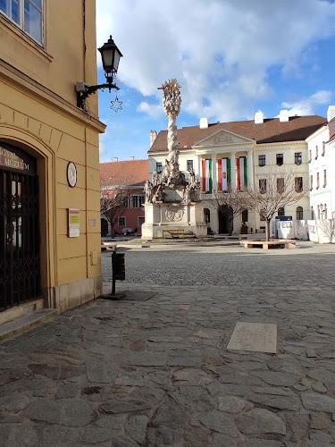 Értékelések erről a helyről: Győr-Moson-Sopron Megye Soproni Levéltára, Sopron - Múzeum