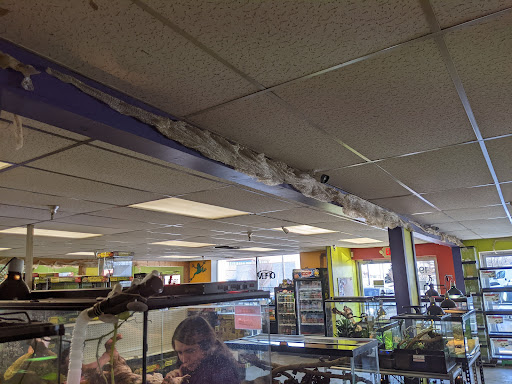 Pet Store «Tye-Dyed Iguana - Reptiles», reviews and photos, 1905 W U.S. 50, Fairview Heights, IL 62208, USA