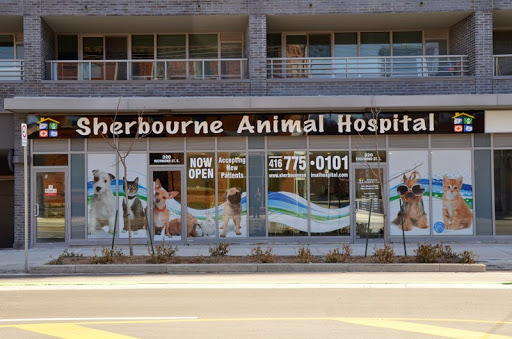 Sherbourne Animal Hospital