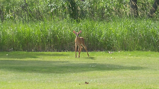 Golf Course «Rock River Hills Golf Course-Horicon Hills Golf Club», reviews and photos, 3000 Main St, Horicon, WI 53032, USA
