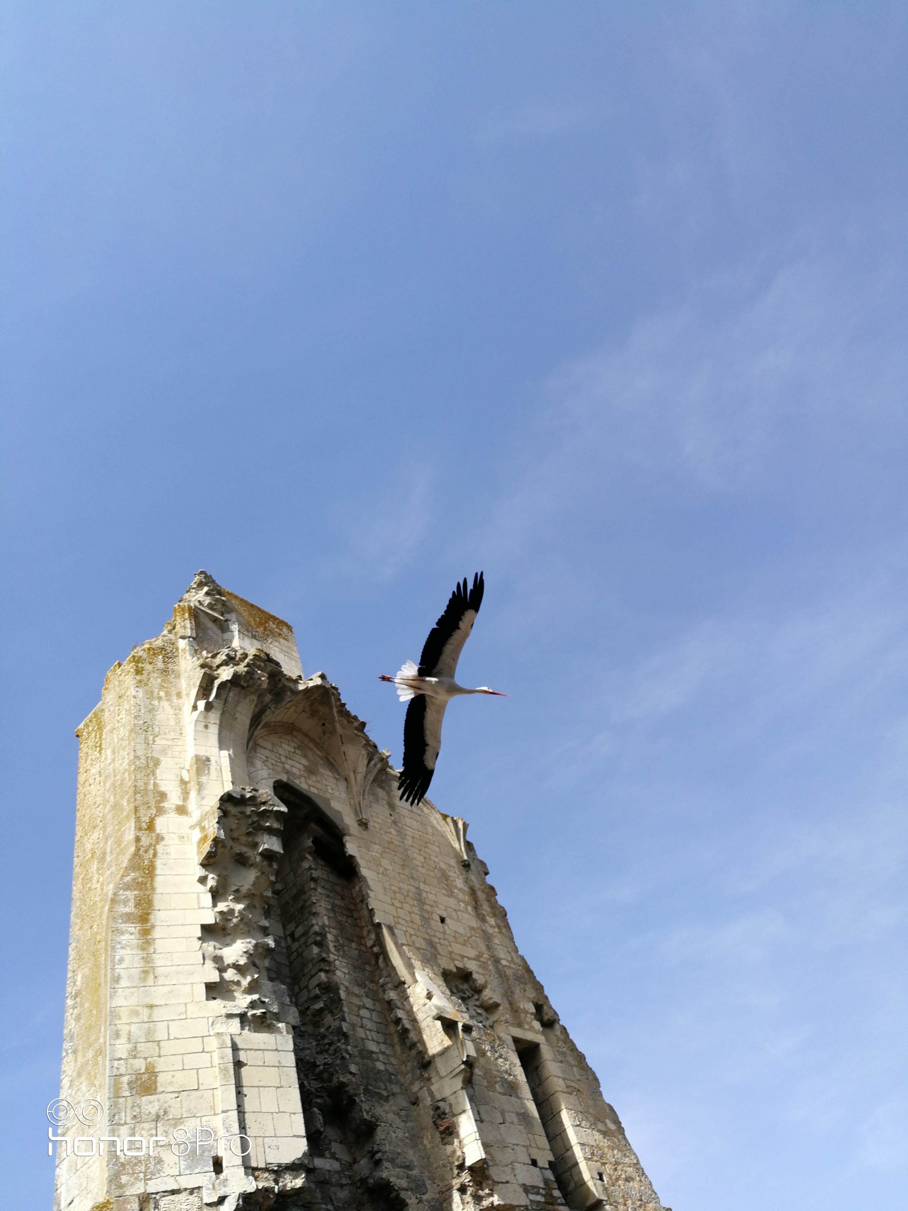 Photo n° 2 de l'avis de Aurelien.o fait le 29/08/2017 à 12:01