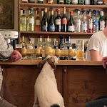 Photo n°2 de l'avis de MaLi. fait le 19/09/2022 à 16:07 sur le  Zum Goethebrunnen à Weimar