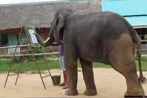 Maha Wang Elephant Camp image